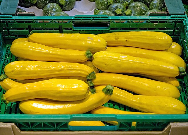 झुकिनी लागवड (Zucchini Cultivation)