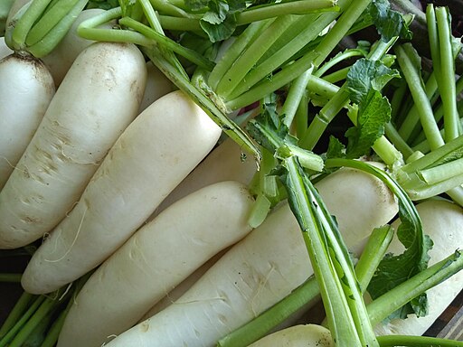 मुळा लागवड (Radish Cultivation)